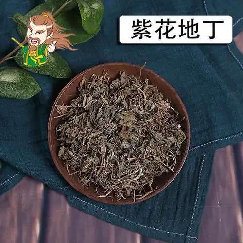 中药材批发紫花地丁1000克500克