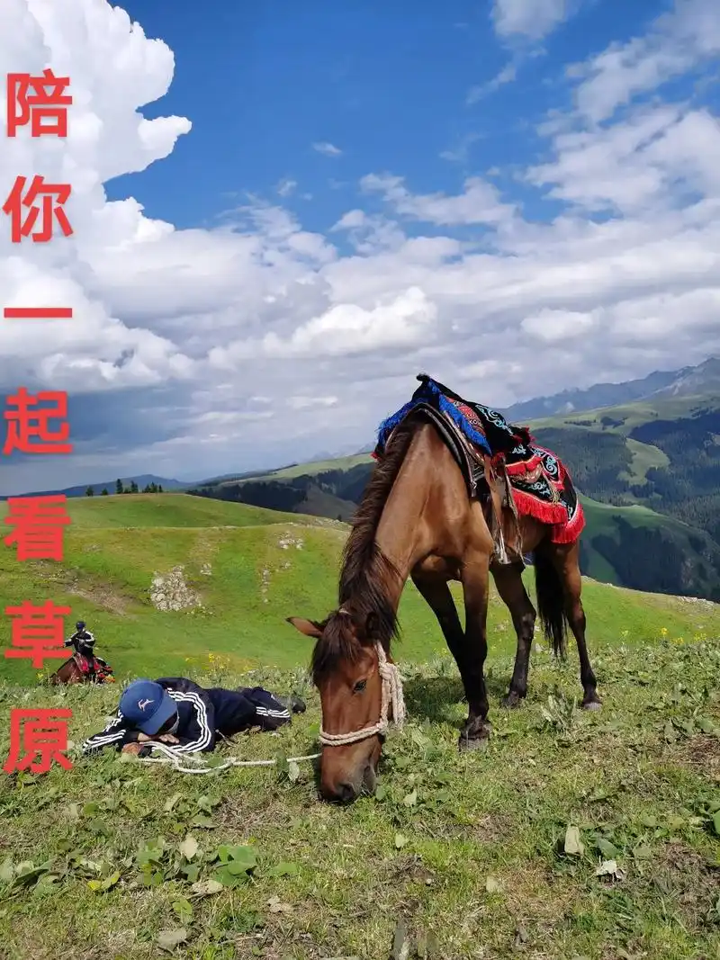 很喜欢这首《陪你一起看草原》用3张照片听整首歌!