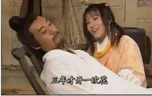 萝莉爱大叔,大家如何看待,倚天中杨不悔和殷梨亭这段恋情?