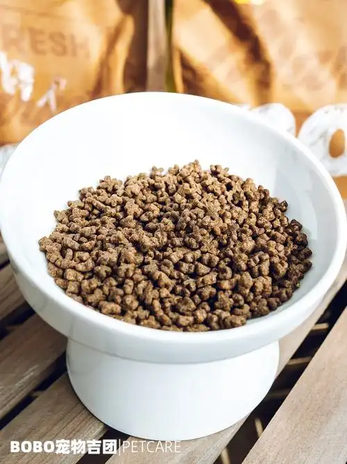 加拿大进口now百加世防伪无谷天然狗粮小型犬四叶草小颗粒狗主粮