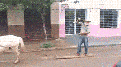 恶搞gif骑马gif逗比gif欢乐gif