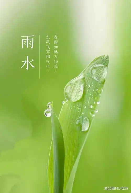 二十四节气之雨水节气壁纸