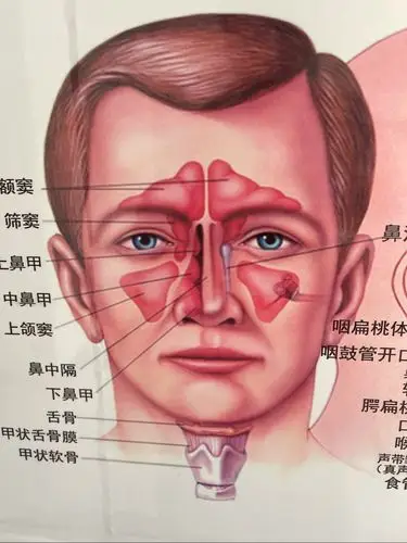 超高清鼻窦内窥镜,鼻炎免费大普查 公益活动隆重启帷!