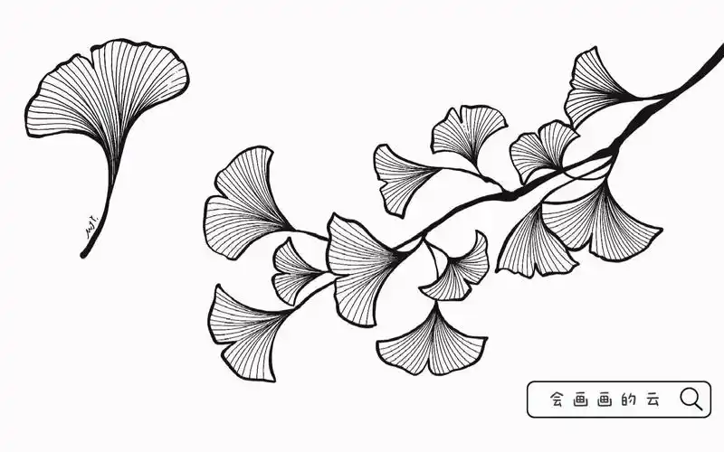 一叶知秋,简笔画教程,手把手教你如何画银杏叶