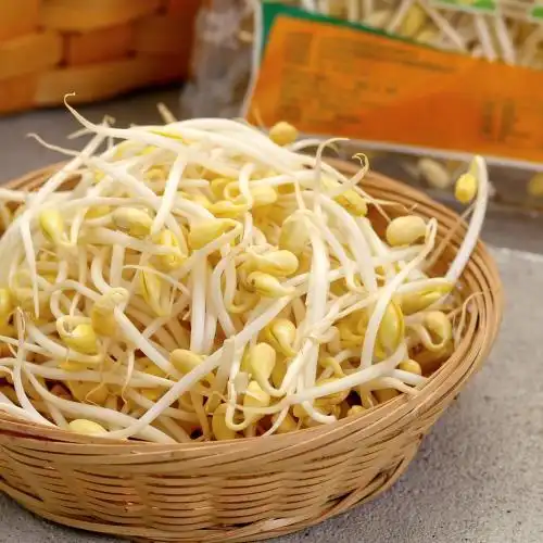 豆芽-小金黄尖盒装300g