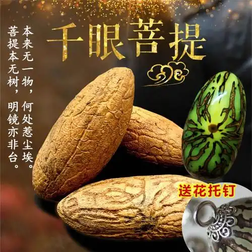 新款 红绿籽件果千眼菩提白玉菩提子原料根成品星月手