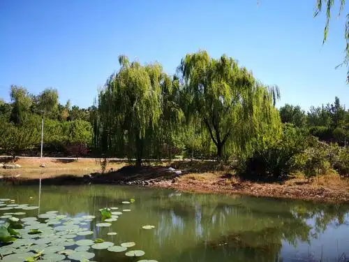 逛北京-清河营郊野公园