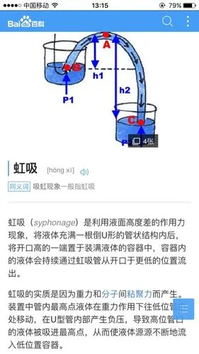 家有小绿满满都是少女心的微景观摆件海贼王小黄