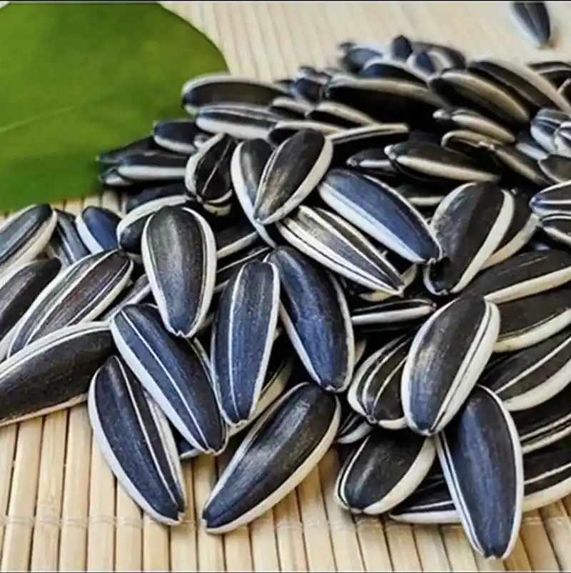 这个葵花籽瓜子真的是太好吃了!