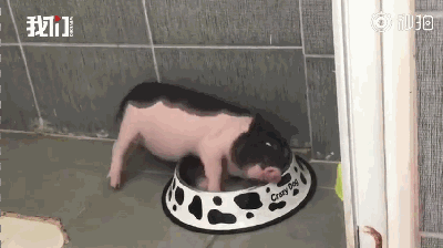 400_224gif 动态图 动图