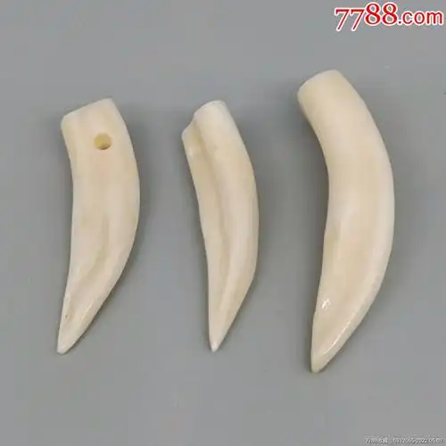 野猪牙吊坠