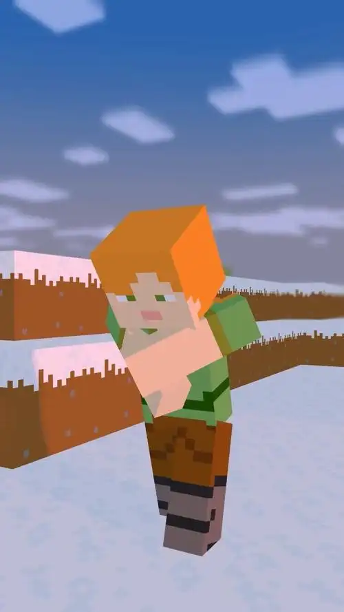 我的世界:艾利克斯和史蒂夫的奇妙冒险!