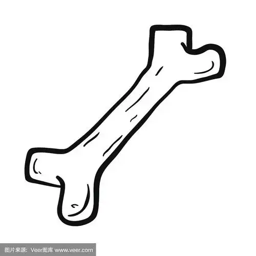 黑白手绘卡通骨