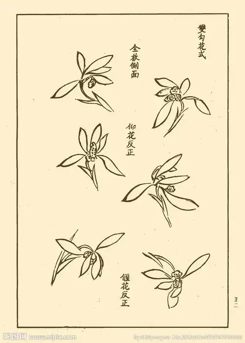 22:12:18芥子园画谱 兰花大图 点击还原线描天杰星12同采自www