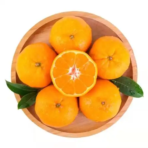 椪柑10斤199箱包邮