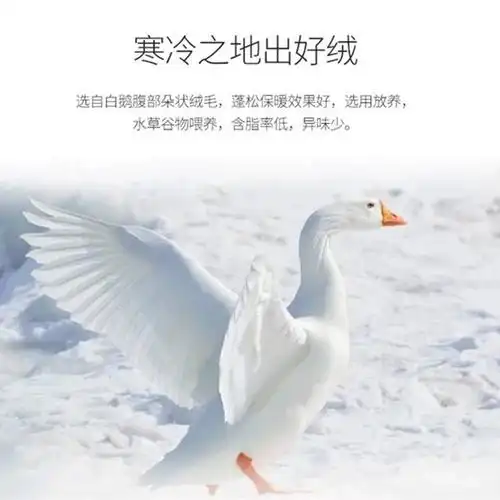 羽绒一斤装羽绒服羽绒被枕填充物95大朵白鹅绒90白鸭绒羽绒毛散装