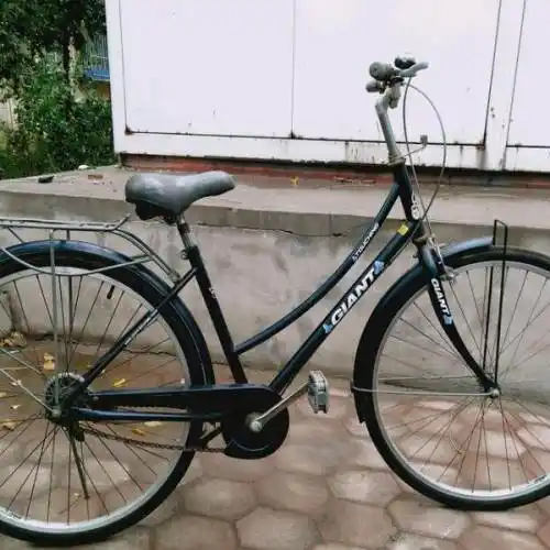 捷安特26车—天津摩托电动自行车