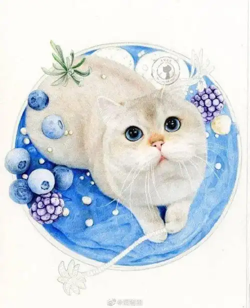彩铅手绘入门 | 小猫咪彩铅手绘全过程,可爱小猫全身彩铅画_教程