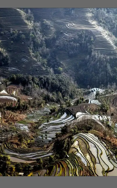 元阳——老虎嘴梯田