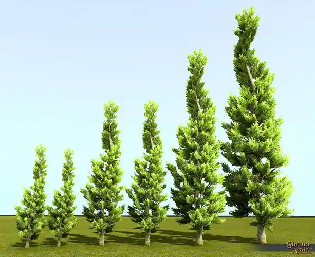 dead tree with spider webs 6-pack (digital) epic bamboo tree