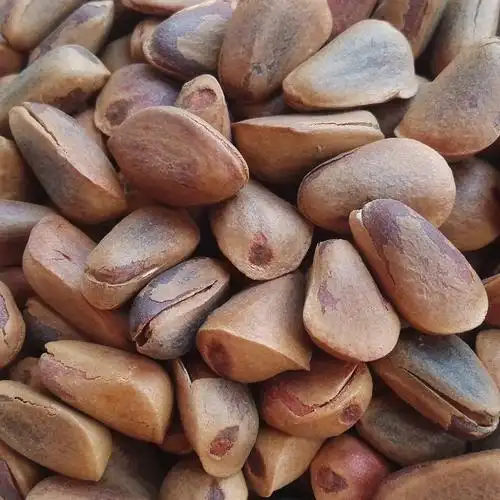 东北野生开口松子黑龙江特级红松籽手工开口笨炒250克【4件包邮】