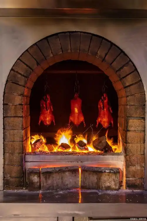防砖砌烤鸭炉,燃气烤鸭炉,电烤鸭炉,果木炭烤鸭炉,烤鸭炉