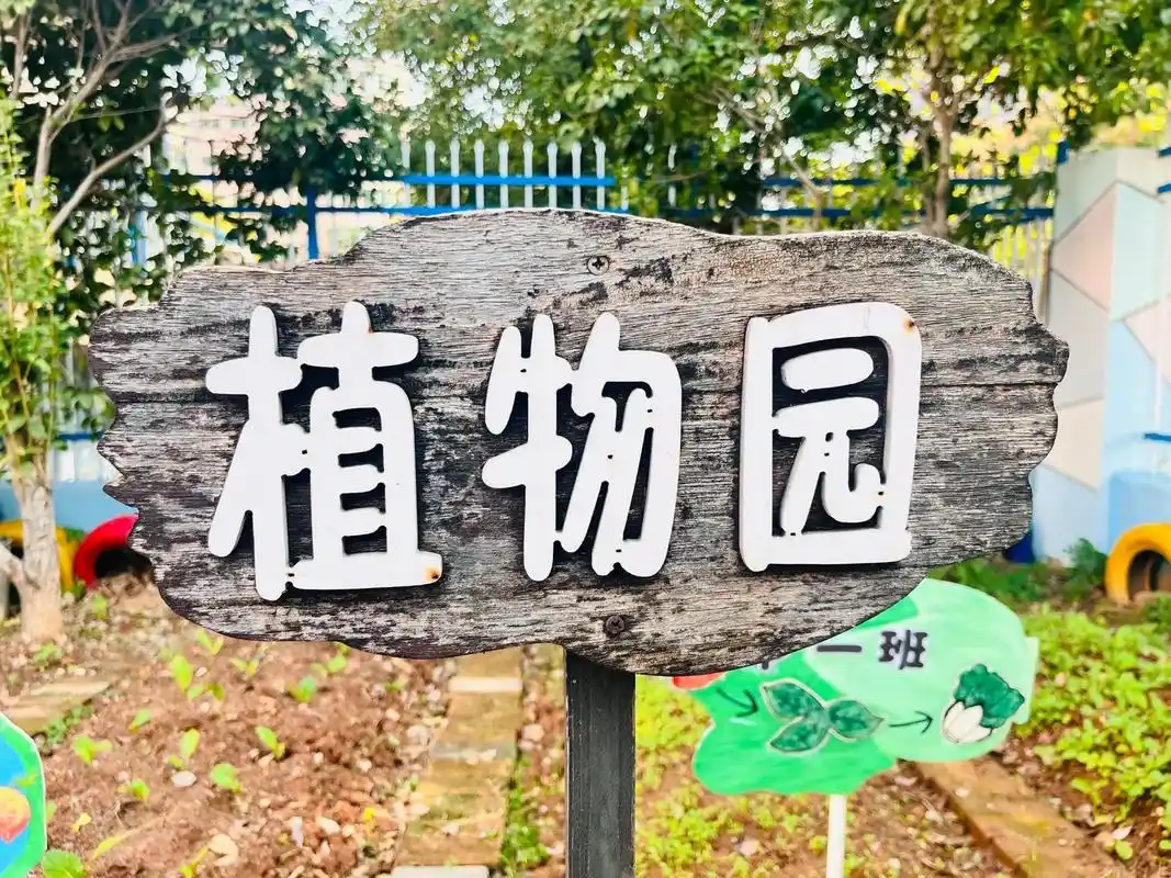 幼儿园植物园区域牌#幼师 #幼儿园 #环创素材 #植物角 - 抖音