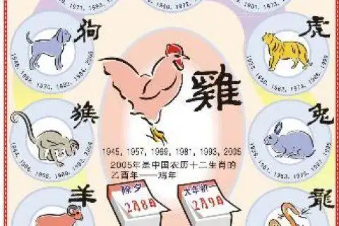 买十二生肖买马的官网,买十二生肖叫什么码?