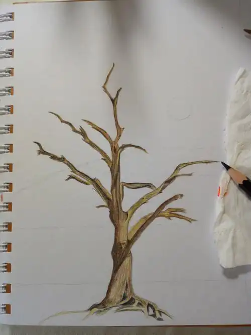 彩铅手绘树21