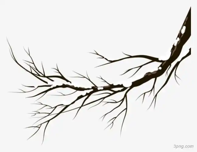 手绘枯木png素材透明免抠图片动植人物