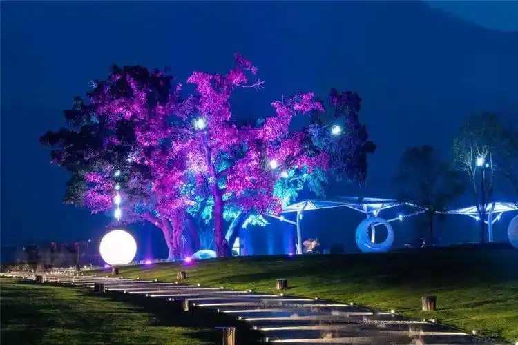 视频丨漫游月光草坪,你可还记得她当初的样子?_公园