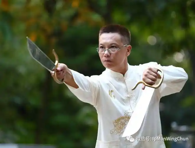 (技术篇)"小念头"咏春八手之一 动作概述及示范