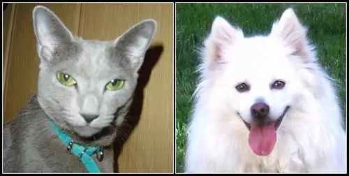 50个月前 回覆  a  marry christmas