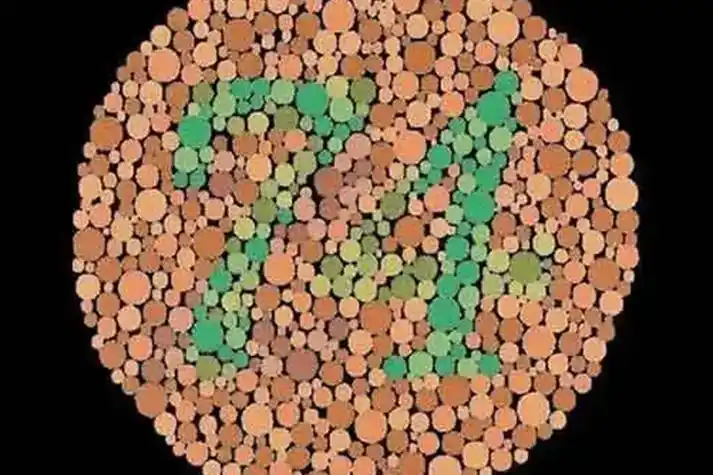 红绿色弱测试图