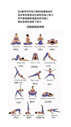 流瑜伽高级序列排课2套