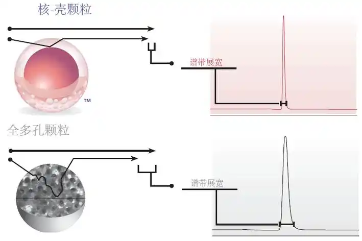天下武功,唯快不破:如何快速筛选色谱柱