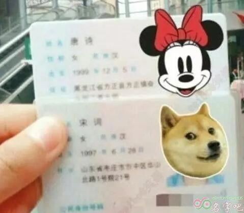 盘点最奇葩的名字,前四个还能接受,看到最后一个逻辑都没了