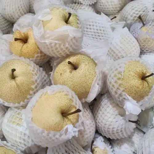 南塘快乐购超市,日日新鲜,天天特价