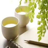 微信一杯清茶头像_微信头像图片大全