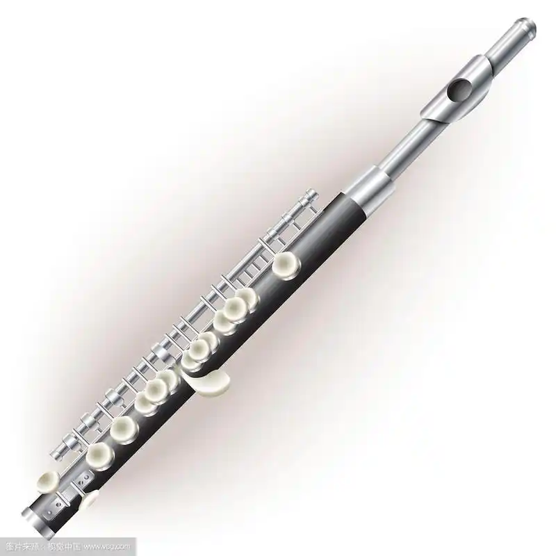 阿姆斯特朗短笛长笛