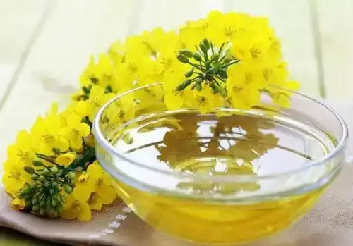 油菜花结了籽,便是很好的榨油材料.