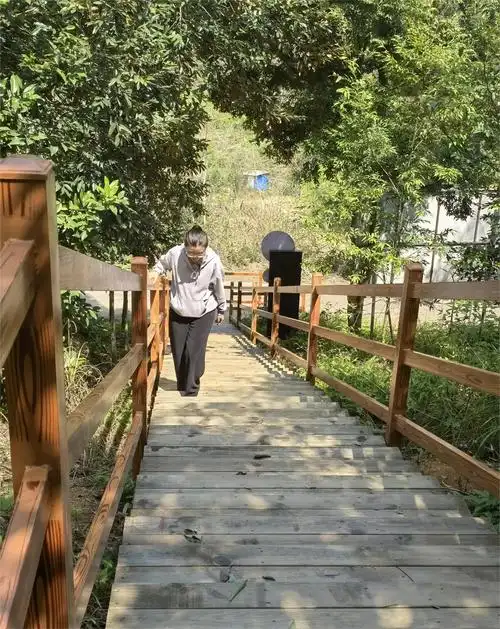 莫负好春光!来龙川,走最美的森林木栈道