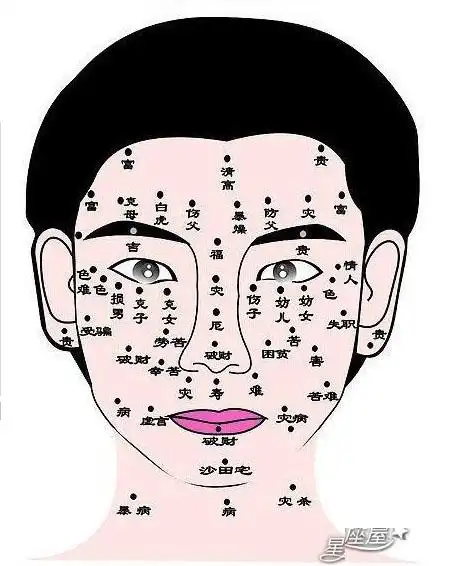 图解,男人面相看痣算命