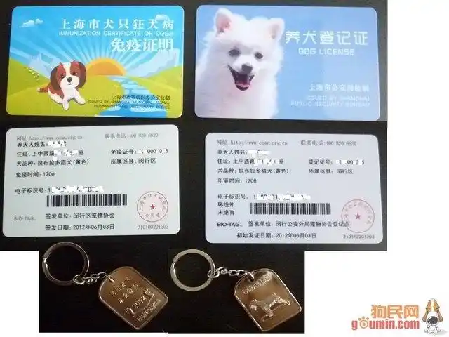 2019年最新上海市养犬管理条例全文