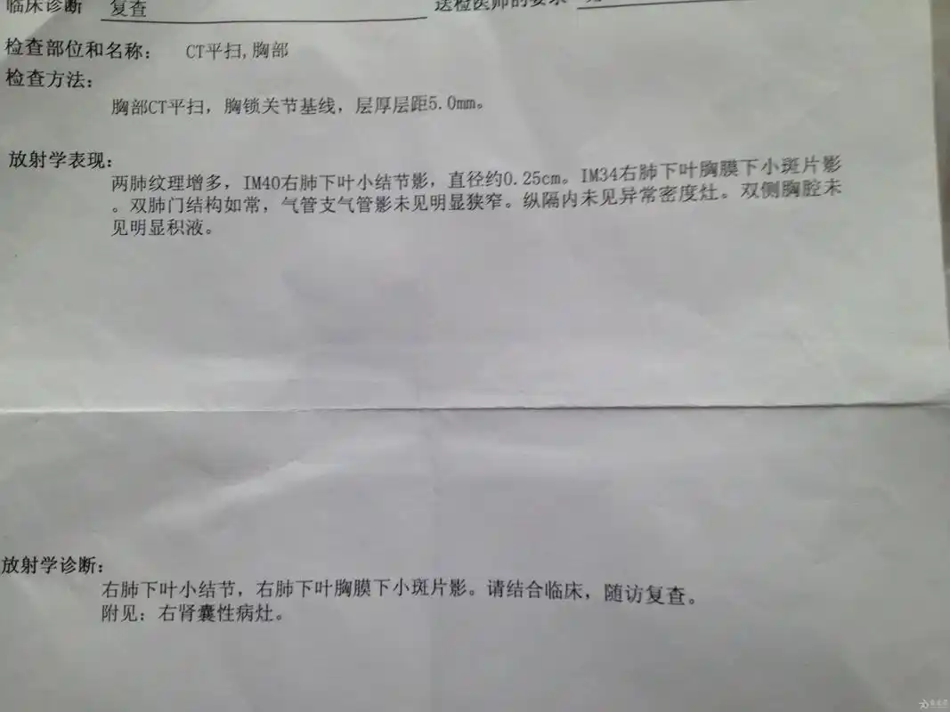 3月份ct胸部报告