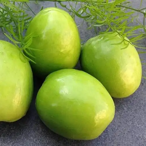 元谋青枣详细介绍:特点 历史 - 元谋特产 - 特色谷