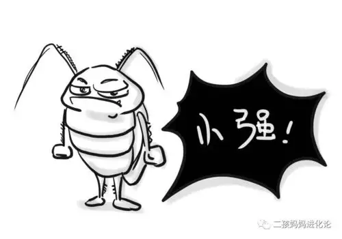 当了妈我过上了蟑螂一样的人生