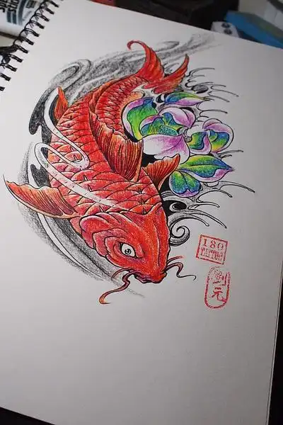 客人定图/传统鲤鱼跟莲花