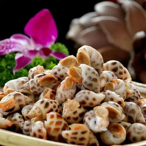 花螺500g/袋约50-80粒/袋 鲜活吐沙冷冻海鲜海螺贝类