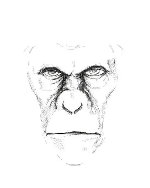 凯撒猩猩简笔画